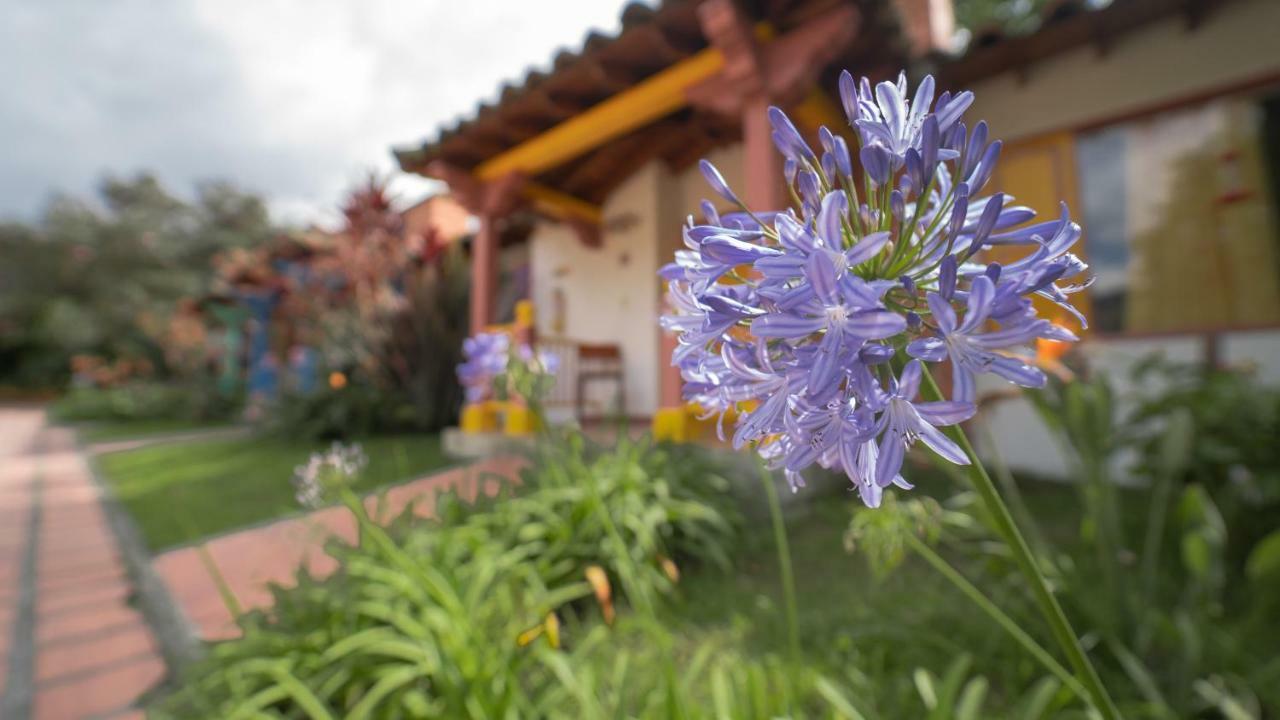 Termales El Otono Hotel La Enea ภายนอก รูปภาพ Agapanthus africanus