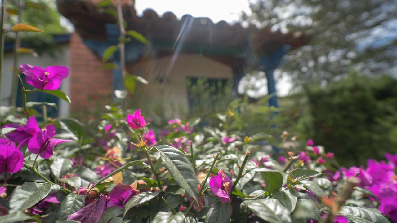 Termales El Otono Hotel La Enea ภายนอก รูปภาพ A woman watering flowers